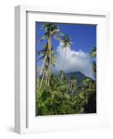 Landscape, Nevis, Leeward Islands, West Indies, Caribbean, Central America-Miller John-Framed Photographic Print