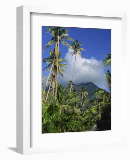 Landscape, Nevis, Leeward Islands, West Indies, Caribbean, Central America-Miller John-Framed Photographic Print