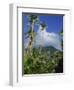 Landscape, Nevis, Leeward Islands, West Indies, Caribbean, Central America-Miller John-Framed Photographic Print