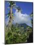 Landscape, Nevis, Leeward Islands, West Indies, Caribbean, Central America-Miller John-Mounted Photographic Print