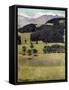 Landscape, Oaks at Stockhorn, 1898-Ferdinand Hodler-Framed Stretched Canvas
