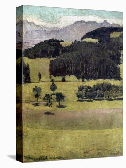 Landscape, Oaks at Stockhorn, 1898-Ferdinand Hodler-Stretched Canvas