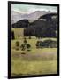 Landscape, Oaks at Stockhorn, 1898-Ferdinand Hodler-Framed Giclee Print