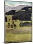 Landscape, Oaks at Stockhorn, 1898-Ferdinand Hodler-Mounted Giclee Print