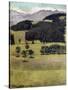 Landscape, Oaks at Stockhorn, 1898-Ferdinand Hodler-Stretched Canvas