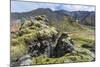 Landscape of a Mountain Range Through Landmannalaugar, Iceland-Gavriel Jecan-Mounted Photographic Print