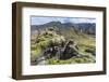 Landscape of a Mountain Range Through Landmannalaugar, Iceland-Gavriel Jecan-Framed Photographic Print