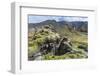 Landscape of a Mountain Range Through Landmannalaugar, Iceland-Gavriel Jecan-Framed Photographic Print