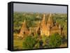 Landscape of Ancient Temples and Pagodas, Bagan (Pagan), Myanmar (Burma)-Gavin Hellier-Framed Stretched Canvas