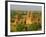 Landscape of Ancient Temples and Pagodas, Bagan (Pagan), Myanmar (Burma)-Gavin Hellier-Framed Photographic Print