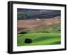 Landscape of Andalucia, Spain-Peter Adams-Framed Photographic Print