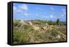 Landscape of Aruba, ABC Islands-alfotokunst-Framed Stretched Canvas