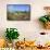 Landscape of Aruba, ABC Islands-alfotokunst-Framed Stretched Canvas displayed on a wall