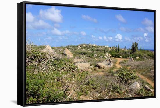 Landscape of Aruba, ABC Islands-alfotokunst-Framed Stretched Canvas