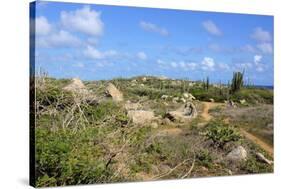 Landscape of Aruba, ABC Islands-alfotokunst-Stretched Canvas