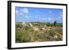 Landscape of Aruba, ABC Islands-alfotokunst-Framed Photographic Print