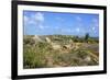 Landscape of Aruba, ABC Islands-alfotokunst-Framed Photographic Print