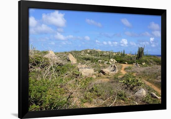 Landscape of Aruba, ABC Islands-alfotokunst-Framed Photographic Print