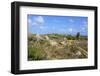 Landscape of Aruba, ABC Islands-alfotokunst-Framed Photographic Print