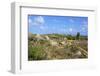 Landscape of Aruba, ABC Islands-alfotokunst-Framed Photographic Print