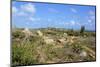 Landscape of Aruba, ABC Islands-alfotokunst-Mounted Photographic Print