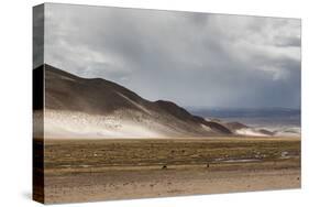 Landscape of Bolivia Near Potosi-Alex Saberi-Stretched Canvas