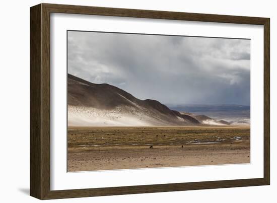 Landscape of Bolivia Near Potosi-Alex Saberi-Framed Photographic Print