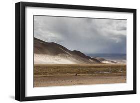 Landscape of Bolivia Near Potosi-Alex Saberi-Framed Photographic Print