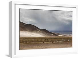 Landscape of Bolivia Near Potosi-Alex Saberi-Framed Photographic Print