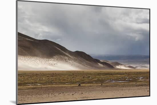 Landscape of Bolivia Near Potosi-Alex Saberi-Mounted Photographic Print