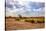 Landscape of Botswana-Romas Vysniauskas-Stretched Canvas