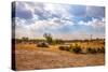 Landscape of Botswana-Romas Vysniauskas-Stretched Canvas