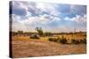 Landscape of Botswana-Romas Vysniauskas-Stretched Canvas