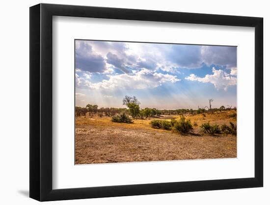 Landscape of Botswana-Romas Vysniauskas-Framed Photographic Print