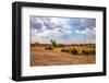 Landscape of Botswana-Romas Vysniauskas-Framed Photographic Print