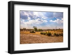 Landscape of Botswana-Romas Vysniauskas-Framed Photographic Print