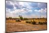 Landscape of Botswana-Romas Vysniauskas-Mounted Photographic Print