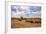 Landscape of Botswana-Romas Vysniauskas-Framed Photographic Print