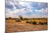 Landscape of Botswana-Romas Vysniauskas-Mounted Photographic Print