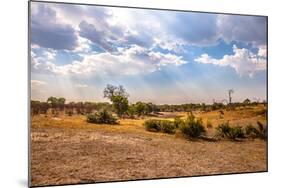 Landscape of Botswana-Romas Vysniauskas-Mounted Photographic Print