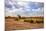 Landscape of Botswana-Romas Vysniauskas-Mounted Photographic Print