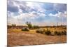 Landscape of Botswana-Romas Vysniauskas-Mounted Photographic Print