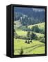 Landscape of Carpathians, Zakarpattia Oblast, Transcarpathia, Ukraine-Ivan Vdovin-Framed Stretched Canvas