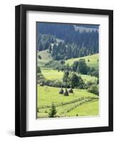 Landscape of Carpathians, Zakarpattia Oblast, Transcarpathia, Ukraine-Ivan Vdovin-Framed Photographic Print