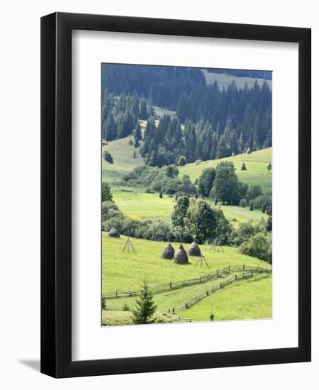 Landscape of Carpathians, Zakarpattia Oblast, Transcarpathia, Ukraine-Ivan Vdovin-Framed Photographic Print