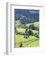 Landscape of Carpathians, Zakarpattia Oblast, Transcarpathia, Ukraine-Ivan Vdovin-Framed Photographic Print