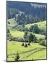 Landscape of Carpathians, Zakarpattia Oblast, Transcarpathia, Ukraine-Ivan Vdovin-Mounted Photographic Print