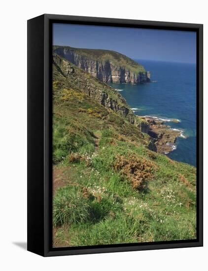 Landscape of Cliffs Along the Coastline at Cap Frehel, Cote D'Emeraude, in Brittany, France, Europe-Michael Busselle-Framed Stretched Canvas