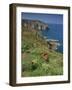 Landscape of Cliffs Along the Coastline at Cap Frehel, Cote D'Emeraude, in Brittany, France, Europe-Michael Busselle-Framed Photographic Print