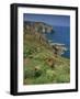 Landscape of Cliffs Along the Coastline at Cap Frehel, Cote D'Emeraude, in Brittany, France, Europe-Michael Busselle-Framed Photographic Print